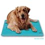 Canine Cooler by Soothsoft Ltd - Medium