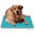Canine Cooler by Soothsoft Ltd - Small