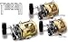 �V�}�m(SHIMANO) �e�B�A�O�� 50 01696