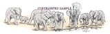 Elephants - Drawing by Cindy Farmer