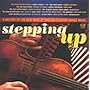 Stepping Up - A History of the New Wave of English Country Dance Music