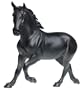 573 CEDARFARM WIXOM BLK MARE 6