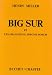 Big Sur et les Oranges de Jérôme Bosch (Broché)