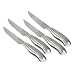 Chicago Cutlery Insignia Steel 4-Piece Steak Knife Set