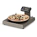 Salter Brecknell 6115-15 Portion Scale with Touchless Zero Mechanism, 13" Length x 13" Width Platter, 240 oz Capacity