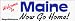 Welcome To Maine now go home - bumper stickers (Large)