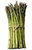 100 Asparagus Plants with Free Shipping