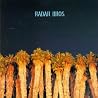 Image of album by Radar Bros.