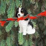 Cavalier King Charles Spaniel Ornament (Tricolor)