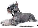Coastal Halti Headcollar Size 0