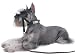 Coastal Halti Headcollar Size 0