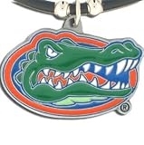 Florida Gators Logo Pendant Rubber Necklace - NCAA College Athletics Fan Shop Sports Team Merchandise