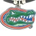NCAA Logo Necklace - Florida Gators