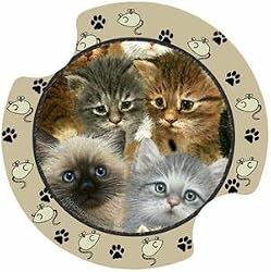Kittens Carsters, Coasters for Your Car