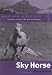 Sky Horse (Mustang Mountain Series)