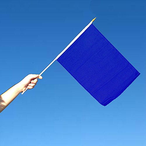 Solid Blue 12x18in Stick Flag