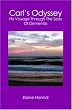 Carl's Odyssey: his voyage through the seas of dementia