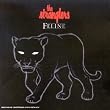 Feline