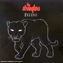 The Stranglers photos