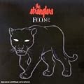 Feline