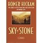 Sky of Stone (Random House Large Print)