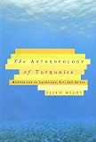 The Anthropology of Turquoise Meditation Book Cover