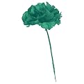 St. Patrick's Day Green Carnations