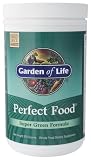 Garden of Life - Perfect Food, 300 g powder