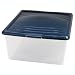Kitchen & Housewares : Large Shoe Box - Clear/Navy by Iris