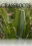 Grassroots