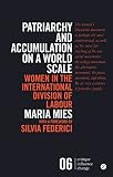 Patriarchy and accumulation on a world scale : women in the international division of labour