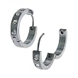 Inox Jewelry 316L Stainless Steel cz Hoop Earrings