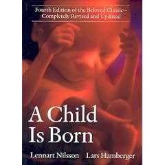 A Child Is Born