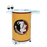 Review Creative Cooling  / The Entertainer Sports Refrigerator / Party Cooler - Florida State