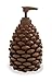 Park Designs Pine Bluff Rustic Pinecone Soap Dispenser