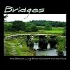 Bridges: The Echoes Living Room Concerts Volume 9