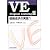VE Program Learning〈2〉価値追求の実践(1)