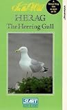In the Wild - HERAG, The Herring Gull [VHS]