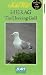 In the Wild - HERAG, The Herring Gull