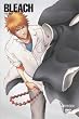 BLEACH バウント篇 1 (完全生産限定版) [DVD]