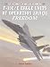 F-15C/E Eagle Units of Operation Iraqi Freedom (Combat Aircraft)