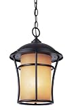 Bel Air Lighting PL-5252 WB Weathered Bronze Outdoor Hanging Light