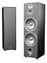JBL Northridge E100 3-Way Dual 10-Inch Floorstanding Speaker, Single (Black Ash)