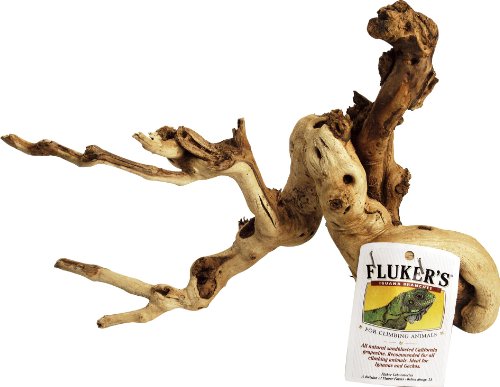 Fluker's Iguana Branch ? X-Large