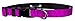 Moose Pet Wear Dog Collar - Patterned Adjustable Pet Collars, Made in the USA â€“ 3/4 Inch Wide, Small, Modern Pink