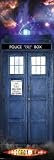 Dr. Who Entertainment Door Poster Print, 21x62