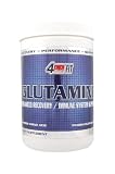 41GDvwK4tWL. SL160  4Ever Fit L Glutamine, 500 Grams