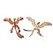 Gefiederte Dinosaurier und Urv�gel in Museumsqualit�t