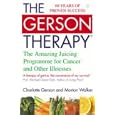 The Gerson Therapy: The Amazing Juicing Programme for Cancer and Other Illnesses by  Charlotte Gerson and Morton Walker