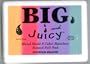 Big & Juicy 5 Color Rainbow Dye Ink Pad: Mountain Meadow